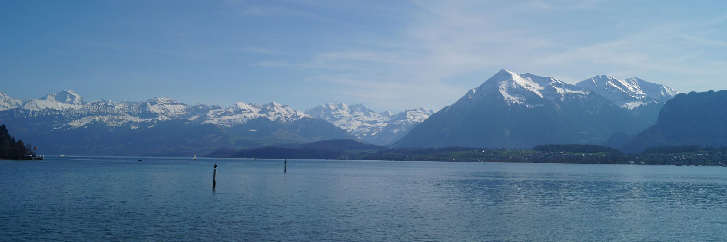 Buhler Asset Management Ltd.