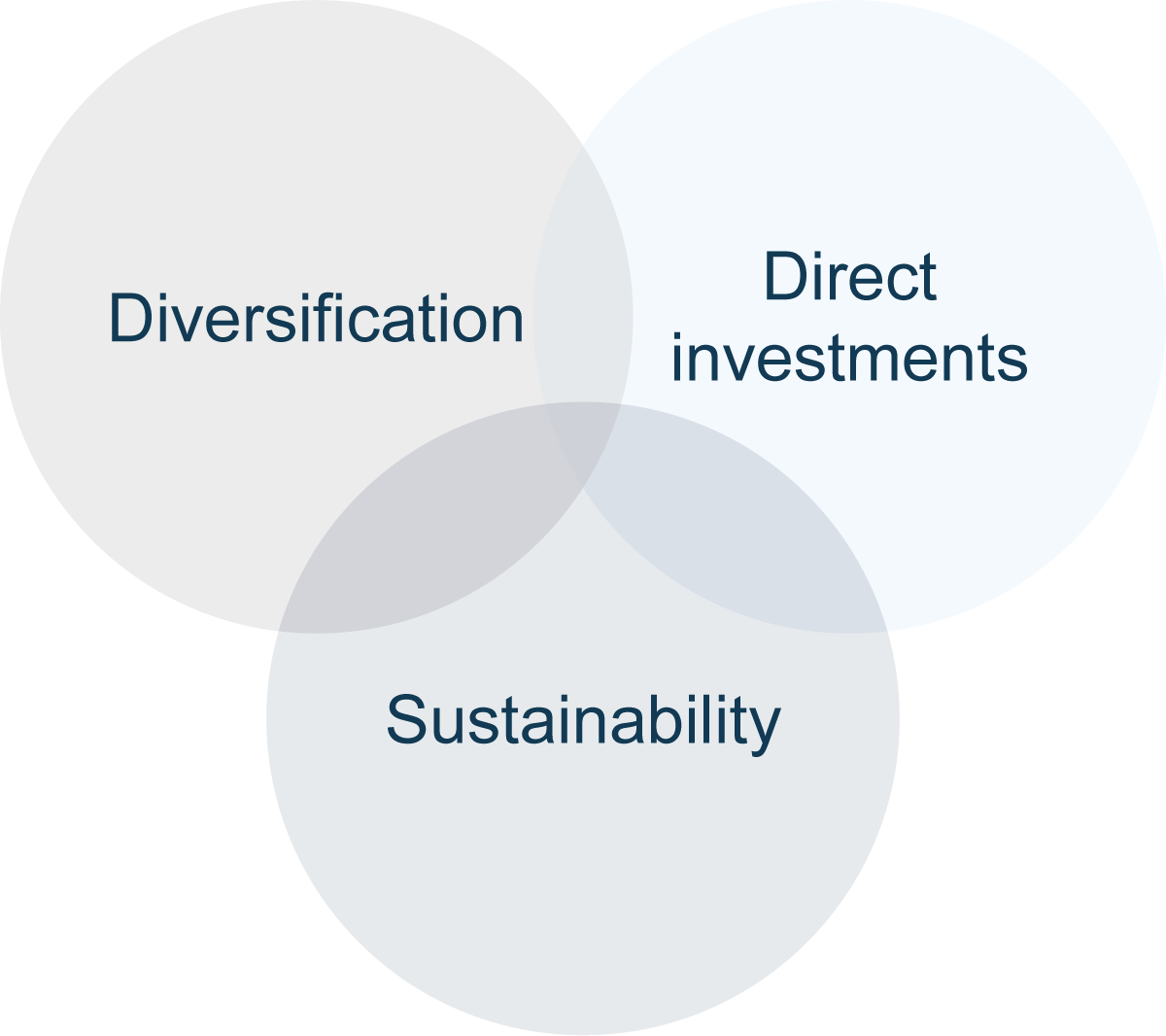 Our investment strategy